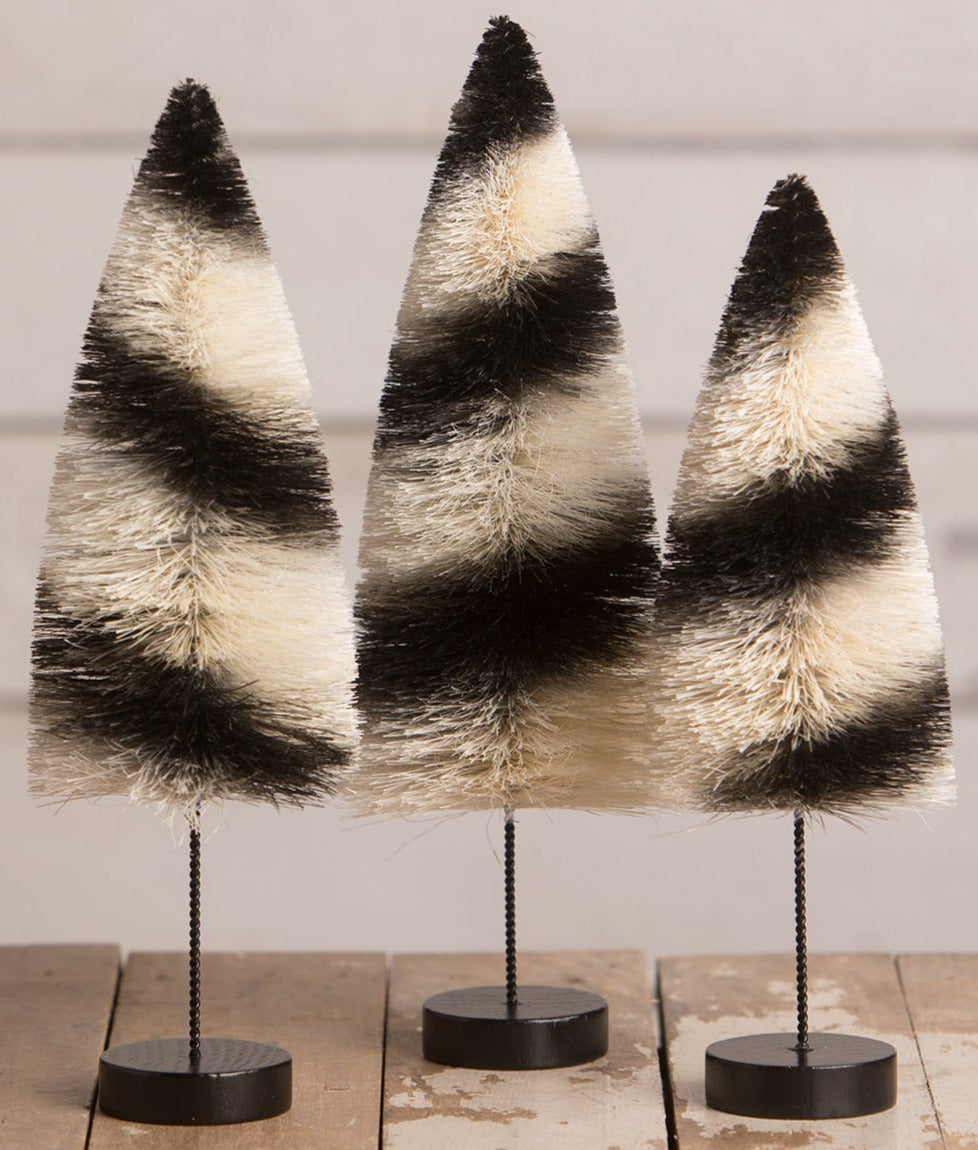 Black Stripes Delights Bottle Brush Trees