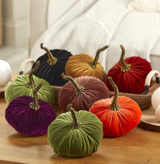 Ivory Velvet Pumpkin
