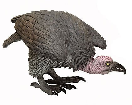 Staring Vulture Prop